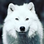 Fortis Fortuna Adiuvat - @marchaljarod - Instagram