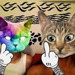 Jarod Newman - @jarnew2000 - Instagram