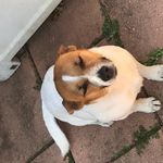 jarrod simpson - @jarrodsimpson269 - Instagram