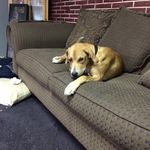 Jarrod Wilson - @jarrod_wilson_ - Instagram