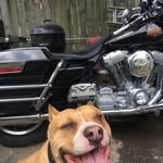 Jarod P Young - @jpytswm5 - Instagram