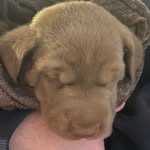 Jarom Brown - @brown.jarom - Instagram