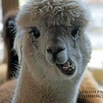 Jaron Cooper - @jaroncooper - Instagram