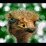 Jaron Kerr - @jaronkerr - Instagram