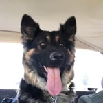 Jaron Reed - @jaron.reed.921 - Instagram