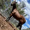 Jarrad - @jarradpage0 - TikTok