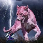 Jarrad Ryan - Facebook