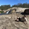 jarradscott423 - @jarradscott423 - TikTok