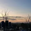 _jarredharrison_ - @wagzzs - TikTok