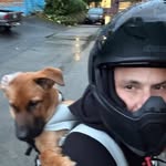 Jared Harrison - @jared.harrison.90857 - Instagram
