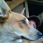 Jarrod Kelly - @jarrod.kelly - Instagram