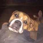 Jarrod Kelly - @jarrod.kelly1 - Instagram