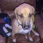 Jarred Peterson - @jarred_peterson75 - Instagram