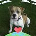 Jarred Thomas - Facebook