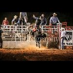 @jarredwalker_1ww - Instagram