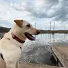 Shannon Jarrell Henderson - @shannon.jarrell.h - TikTok
