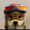 Jarren Brown577 - @user2797972841 - TikTok