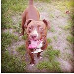Jarret Browne - @jarret_browne - Instagram