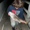 bridgerat_jarrett - @850_jarrett - TikTok