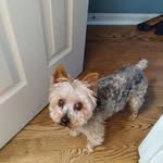 Jarrett Bridges - @jarrettbridges61 - Instagram