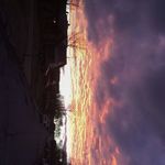 Jarrett Hicks - @jarrett_hicks34 - Instagram