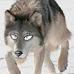 Jarrett Hicks - Facebook