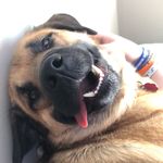 jarrett hill - @jarrett433 - Instagram