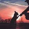 Howard R Jarrett Jr. - @howard.r.jarrett - TikTok