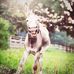 Jarrett Howell - Facebook