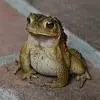 jarrettmorris49 - @jarrettmorris49 - TikTok