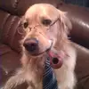 Jarrett - @jarrett.parr - TikTok