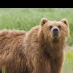 Jarrett Reed - @kodaik1 - Instagram