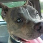Jarrett David Shields - @shieldsj420420 - Instagram