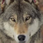 Jarrod Brock - @jarrod_brock5 - Instagram