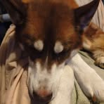 Jared Carpenter - Facebook