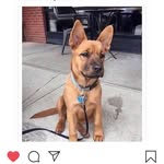 Jared Carpenter - @jaredcarpenter88 - Instagram
