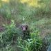 Jarod Covington - Facebook