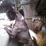 Jarrod Dorman - Facebook