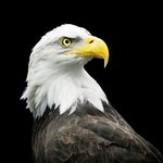 Jarrod Hatcher - @hatcherjarrod - Instagram
