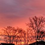 Jared Holt - @_jaredholt - Instagram