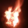 Jarrod Mckern - @jarrod.mckern - TikTok