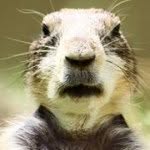 Jared Knapp - @whitemist55 - Instagram