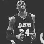 Jarrod Mccarthy - @jarrodmccarthy36 - Instagram