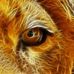 Jarrod Milner - Facebook