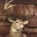 Jarrod Murray - Facebook