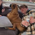 @jarrodmurray_ - Instagram