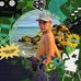 Jarrod Owen - Facebook