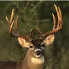 Jarred Phillips - @jarred.phillips - TikTok