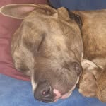 Jarrod Porter - @jarrodporter733 - Instagram