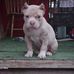 Jarrod Ray - Facebook